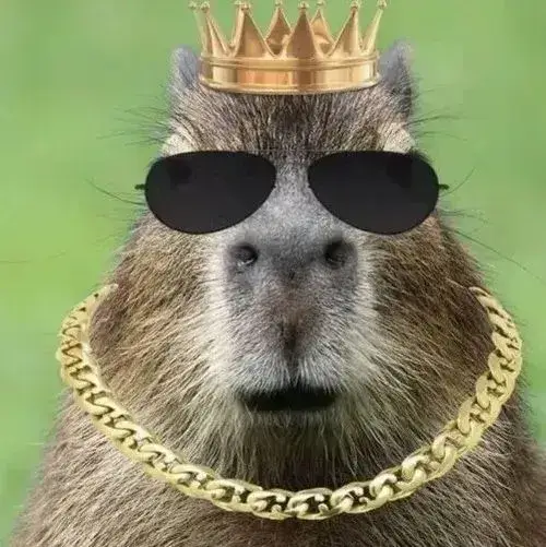 anh avatar capybara vo tri hai huoc 19