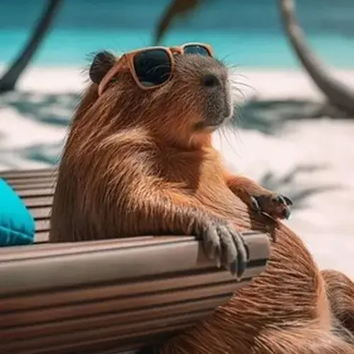 anh avatar capybara vo tri hai huoc 43