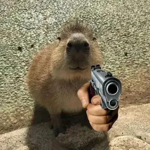 anh avatar capybara vo tri hai huoc 8