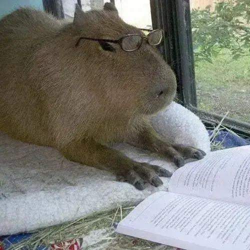 anh avatar capybara vo tri hai huoc 9