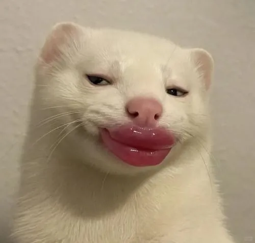 anh avatar vo tri hai huoc 20