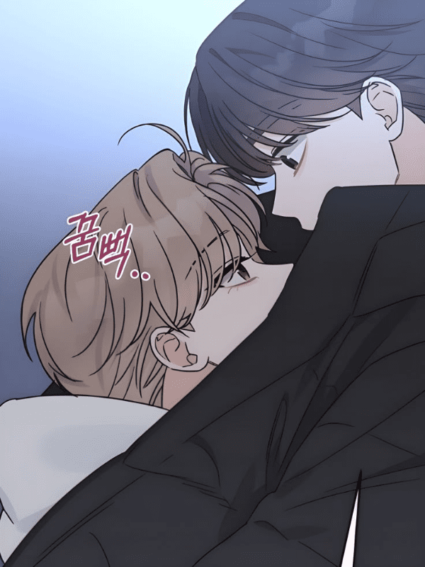 Ảnh album
