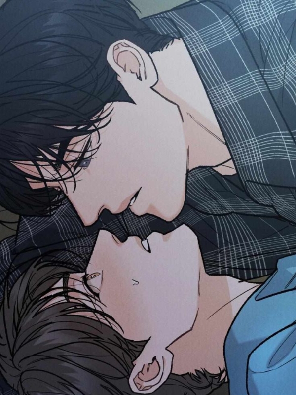 anime-dam-my-hon-18