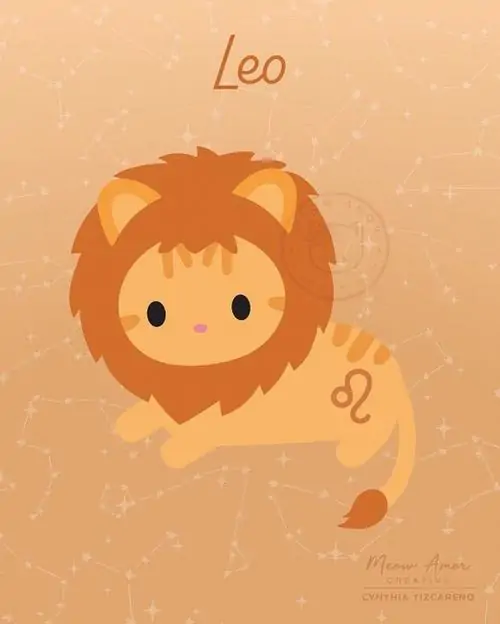 Ảnh album