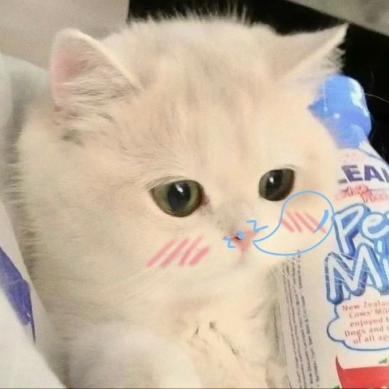 avatar-cute-5