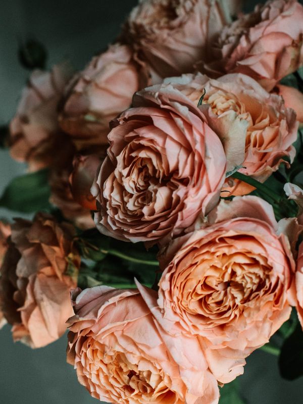 hinh-nen-hoa-hong-29