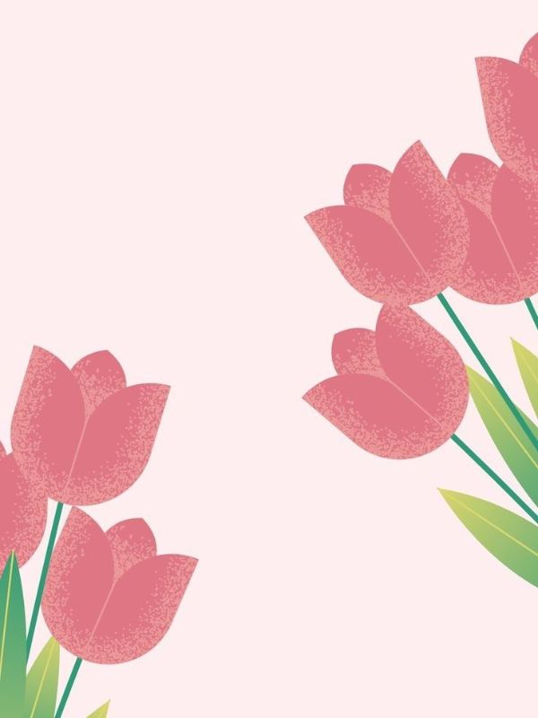 hinh-nen-hoa-tulip-ve-19