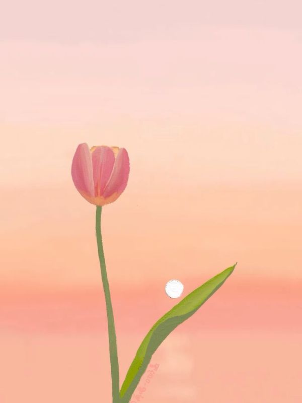 hinh-nen-hoa-tulip-ve-22