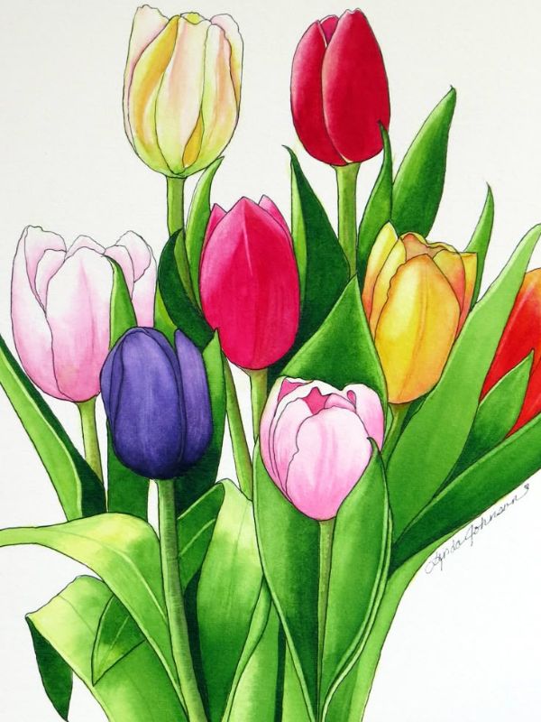 hinh-nen-hoa-tulip-ve-5