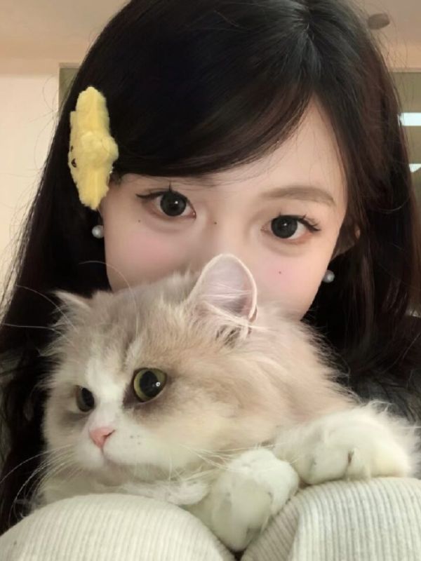 hinh-nen-meo-cute-13